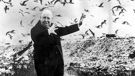 feature_img__the-birds-tou-alfred-hitchcock